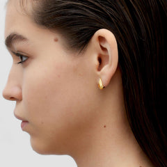 RSNY water drop diamond stud earrings - RSNY R2075B 铜镀金/银耳针约8*12*7mm 几何感切面造型/镜面级精工抛光/精致感细节处理//纯银高品质耳针